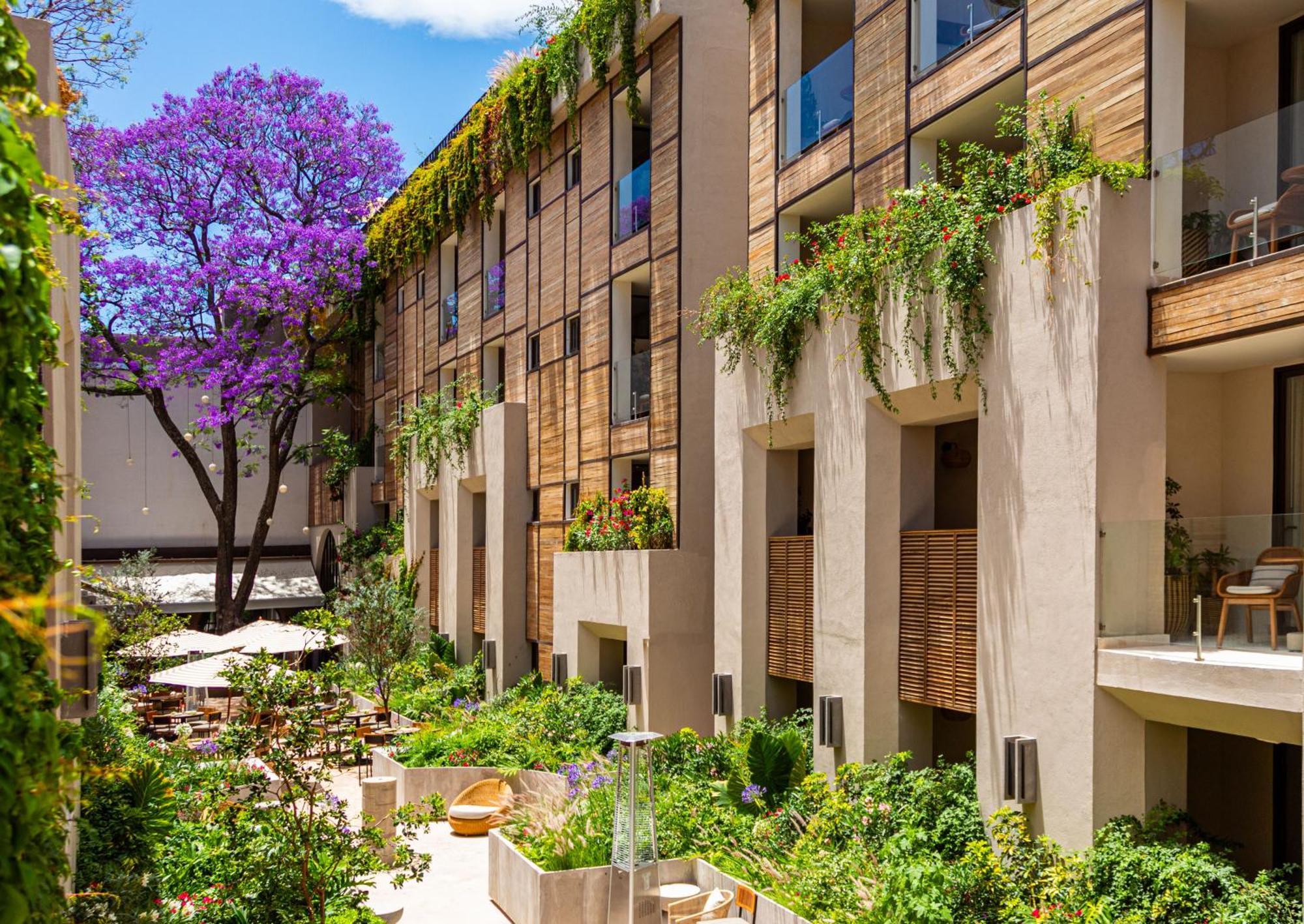 Numu Boutique Hotel, The Unbound Collection By Hyatt San Miguel de Allende Buitenkant foto